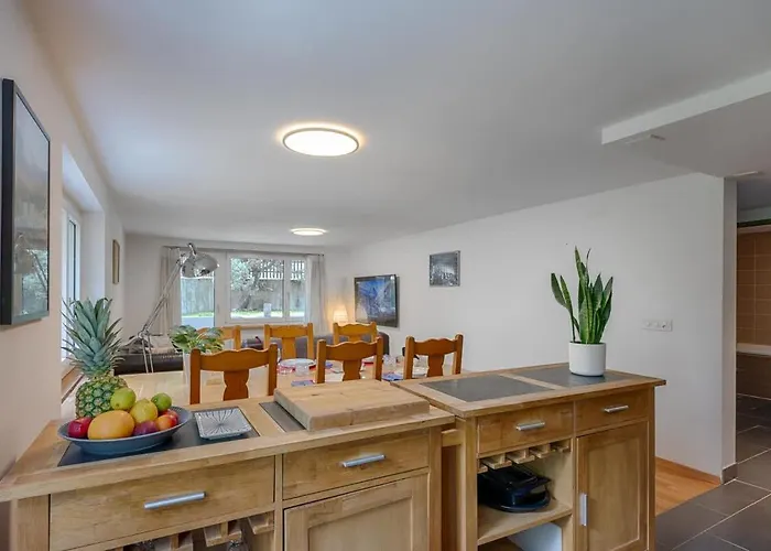 Riverside 公寓 采尔马特